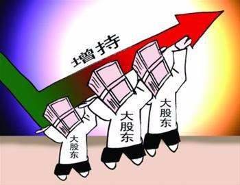 新澳2025今晚开奖资料汇总,的虚假宣传-精选解析与落实